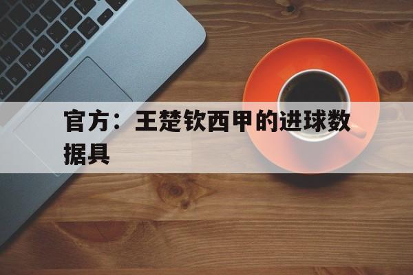 官方：王楚钦西甲的进球数据具(从哪下载历年竞彩足球总进球数据)|赛事直播平台